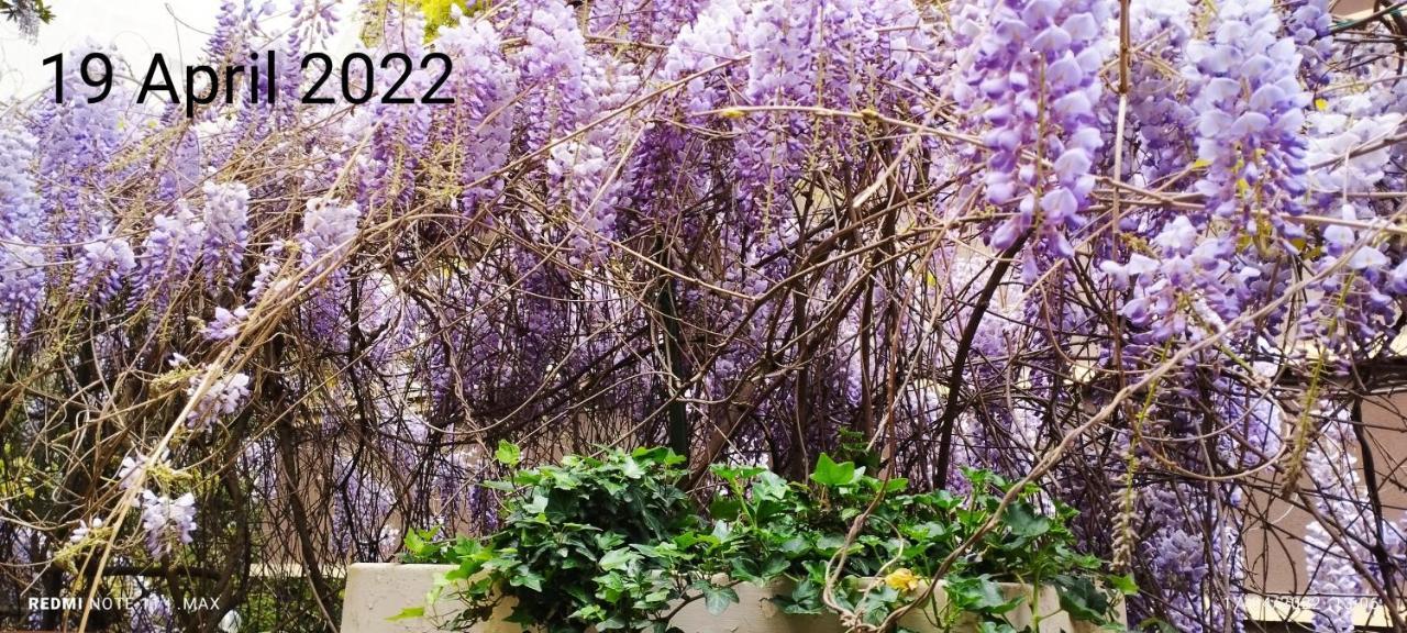 רומא Garden House - Luxury Guest House - Overnight Stay Only מראה חיצוני תמונה